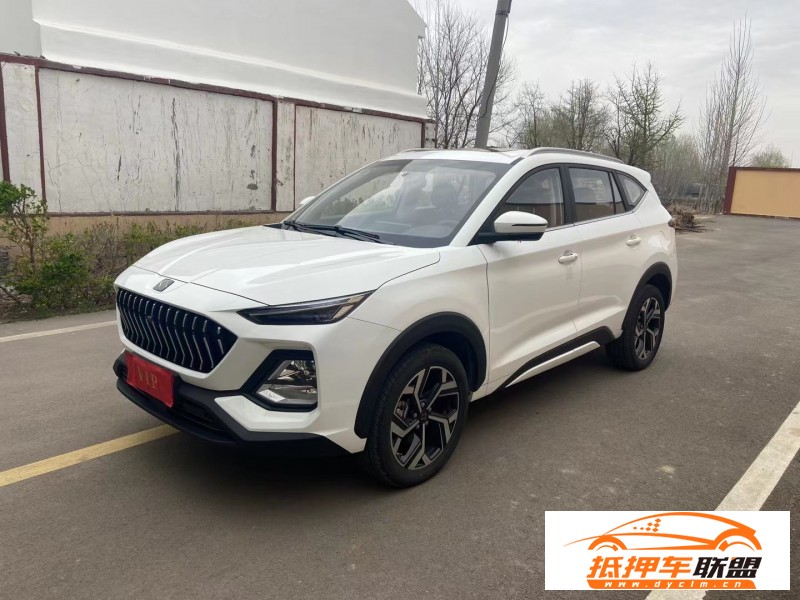  23年江淮思皓X8SUV 
