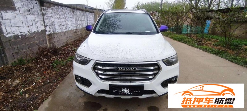  20年長城哈弗H6SUV 