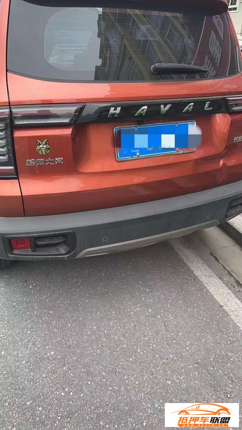  20年長城哈弗大狗SUV 
