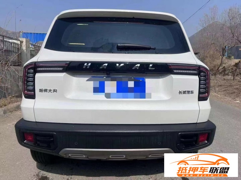  22年長(zhǎng)城哈弗大狗SUV 