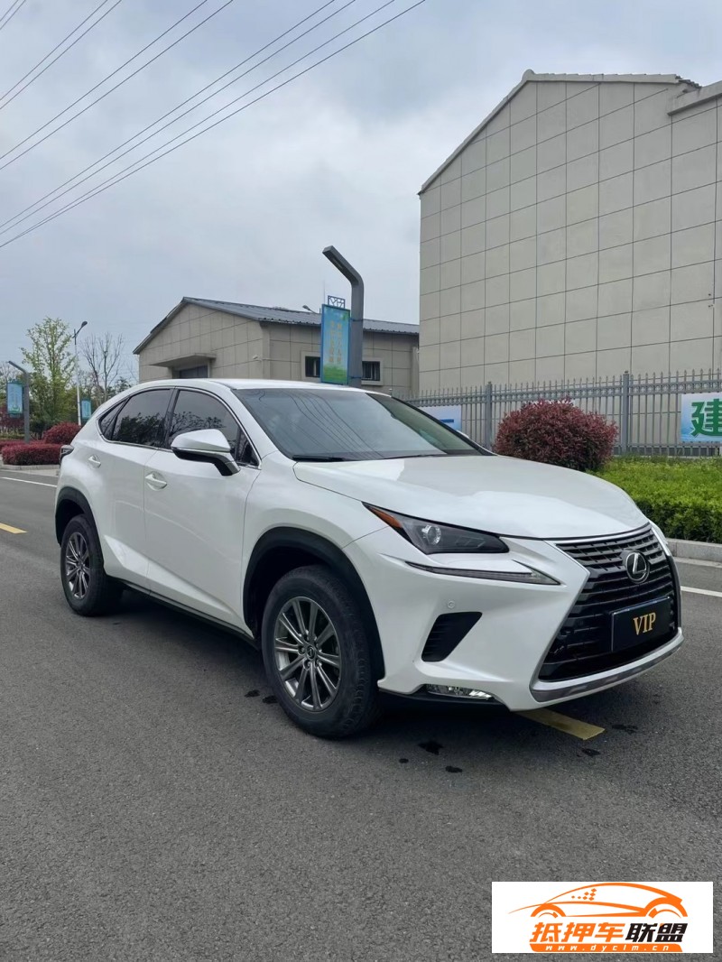  20年雷克薩斯NX轎車 