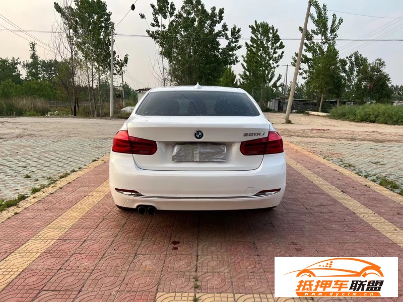  16年寶馬3系轎車 