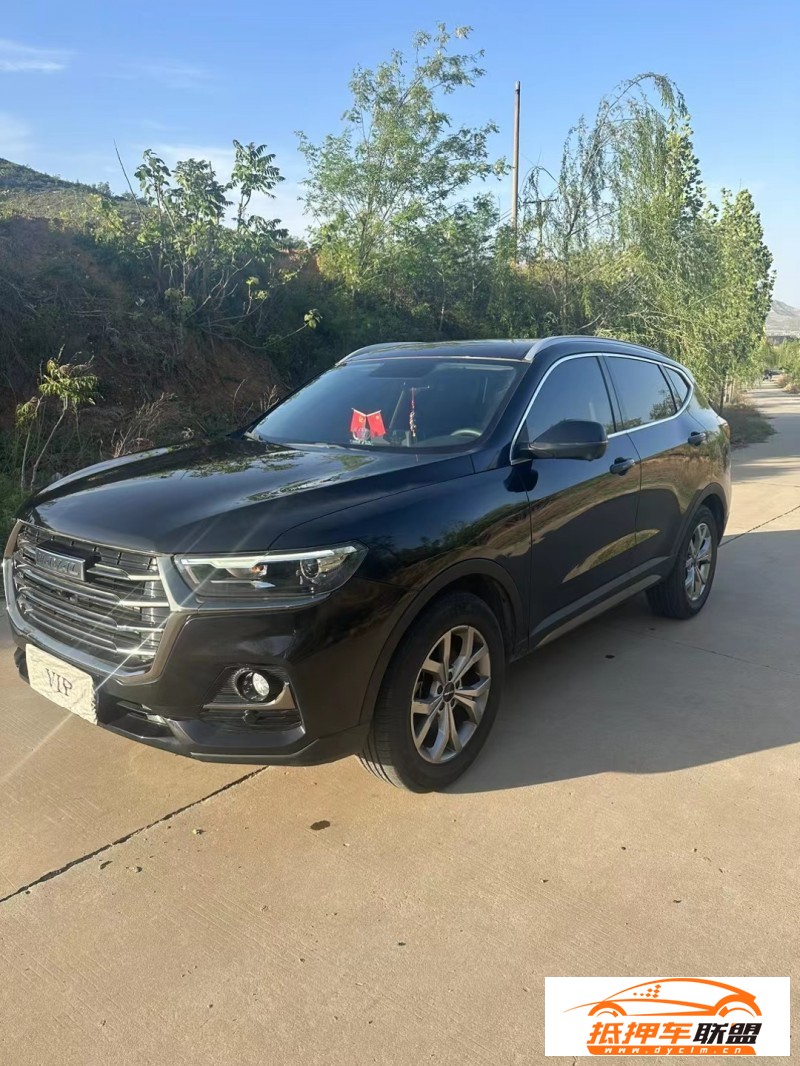 21年長(zhǎng)城哈弗H6轎車 