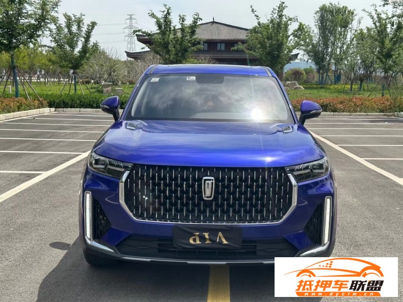  21年奔騰T99轎車(chē) 