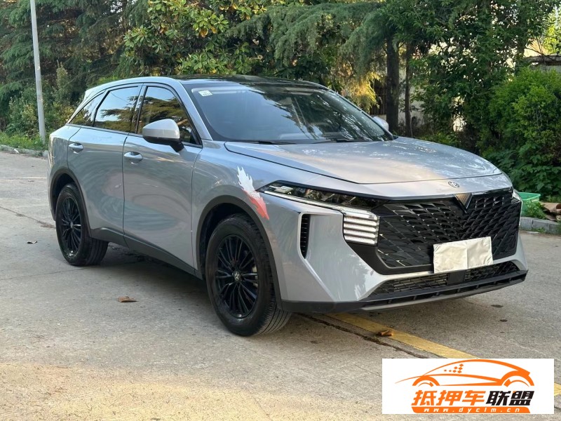  21年啟辰大V轎車 