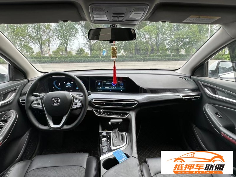  20年長(zhǎng)安逸動(dòng)轎車(chē) 