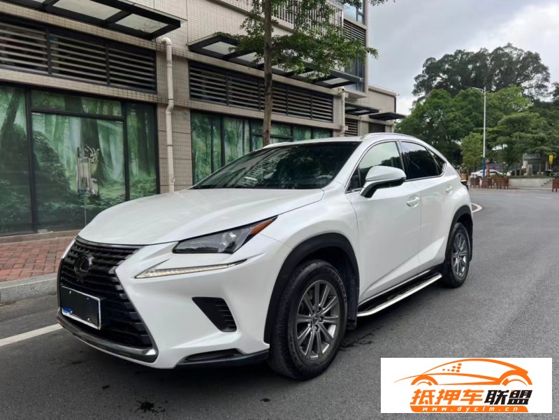  18年雷克薩斯NX轎車 