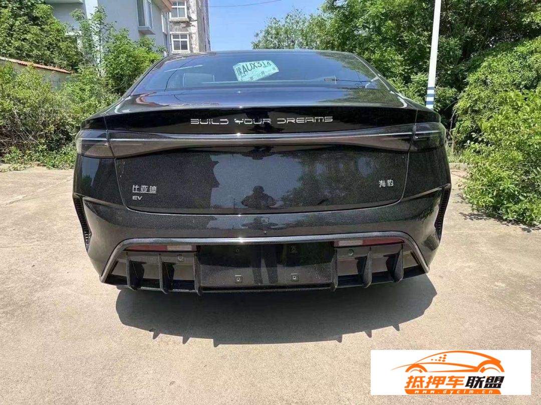 比亞迪 海豹 2022款 海豹 550km 標(biāo)準(zhǔn)續(xù)航后驅(qū)版尊貴型