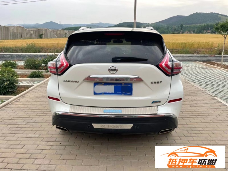  20年日產(chǎn)樓蘭轎車 