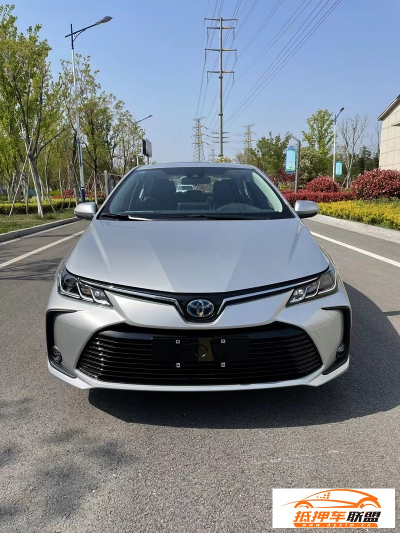  23年豐田卡羅拉轎車 