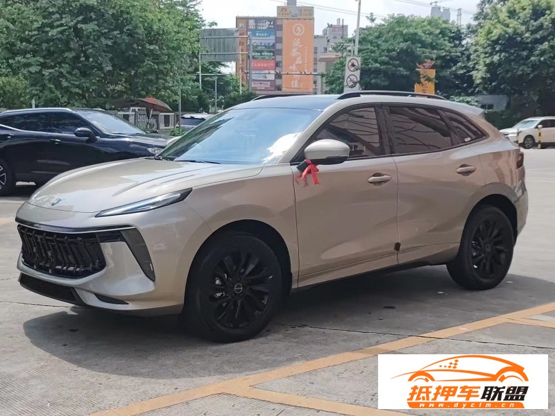  23年東風(fēng)風(fēng)行T5轎車 