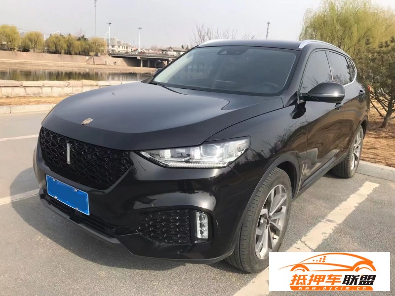  19年長(zhǎng)城VV6SUV 