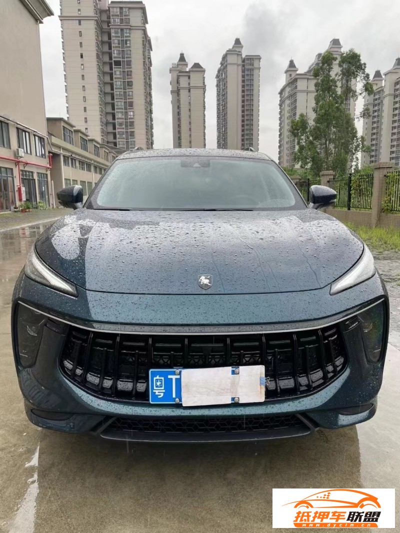  21年東風風行T5SUV 