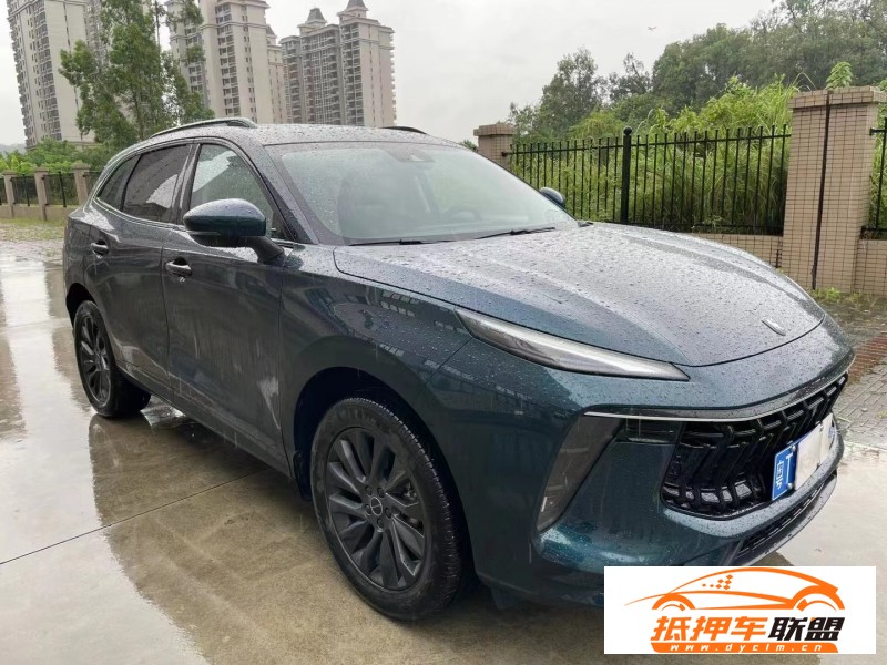  21年東風風行T5SUV 