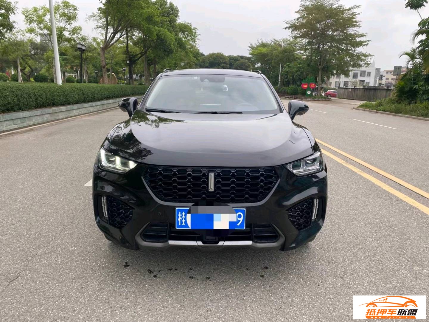 WEY VV5