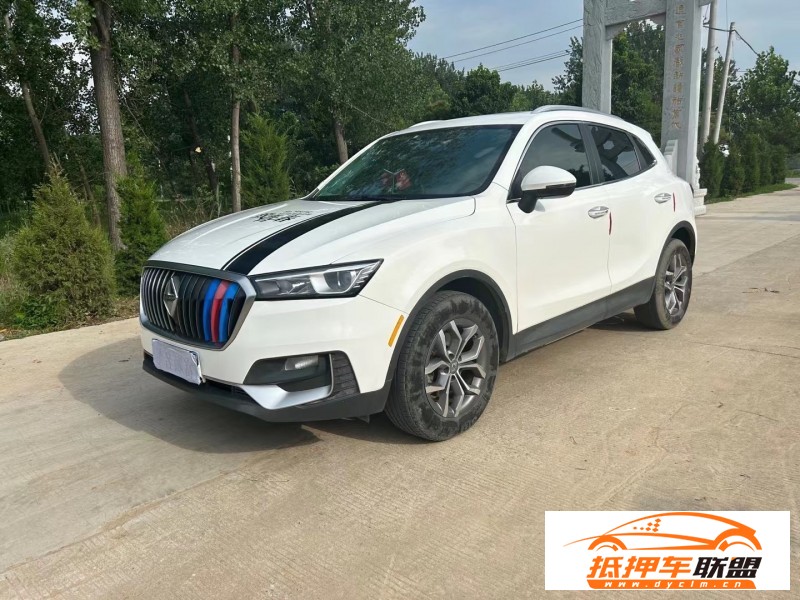  20年寶沃寶沃BX5SUV 