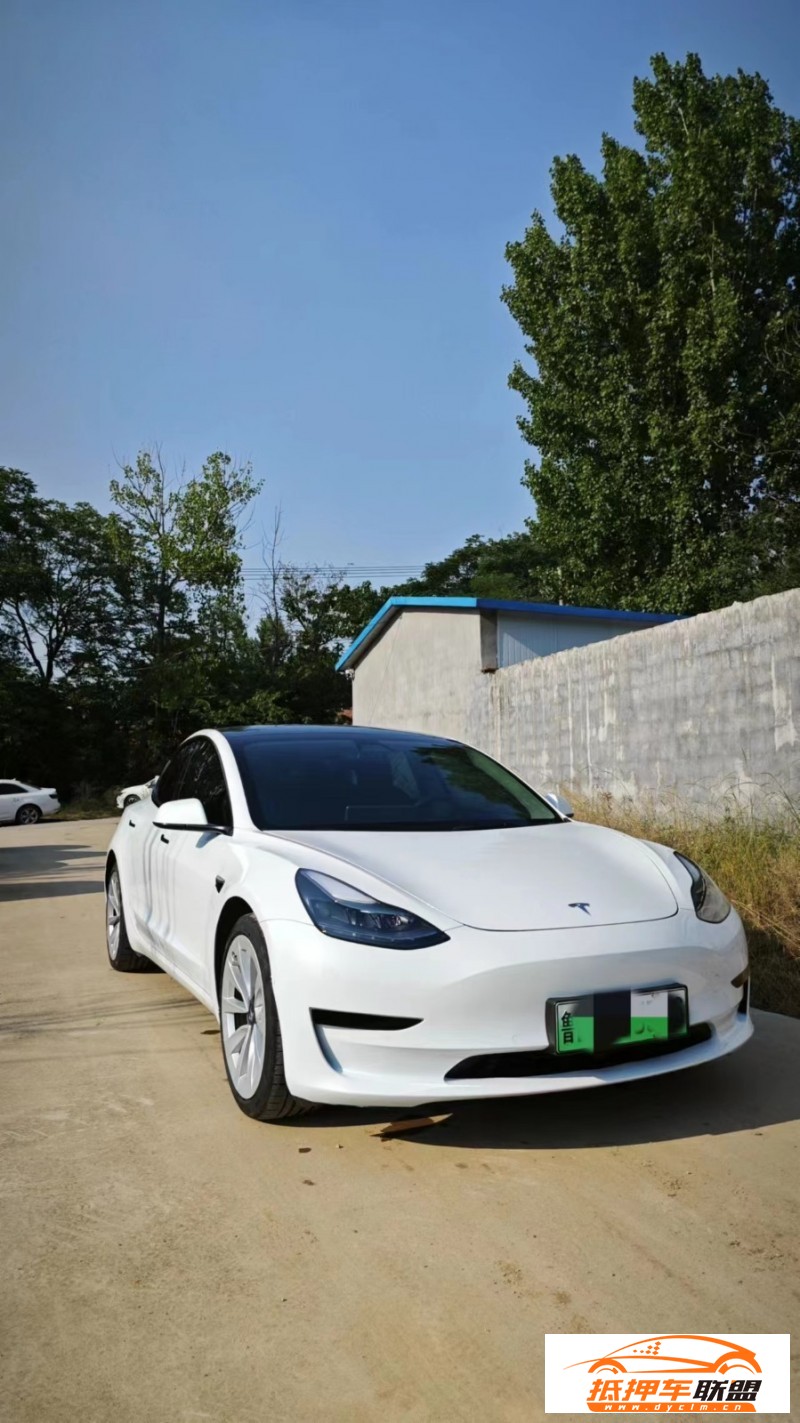  21年特斯拉MODEL 3轎車 