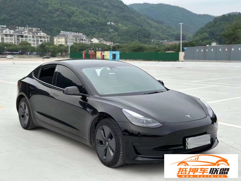  21年特斯拉MODEL 3轎車 