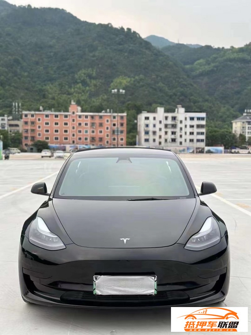  21年特斯拉MODEL 3轎車 