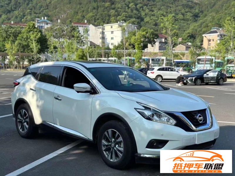  20年日產(chǎn)樓蘭轎車 