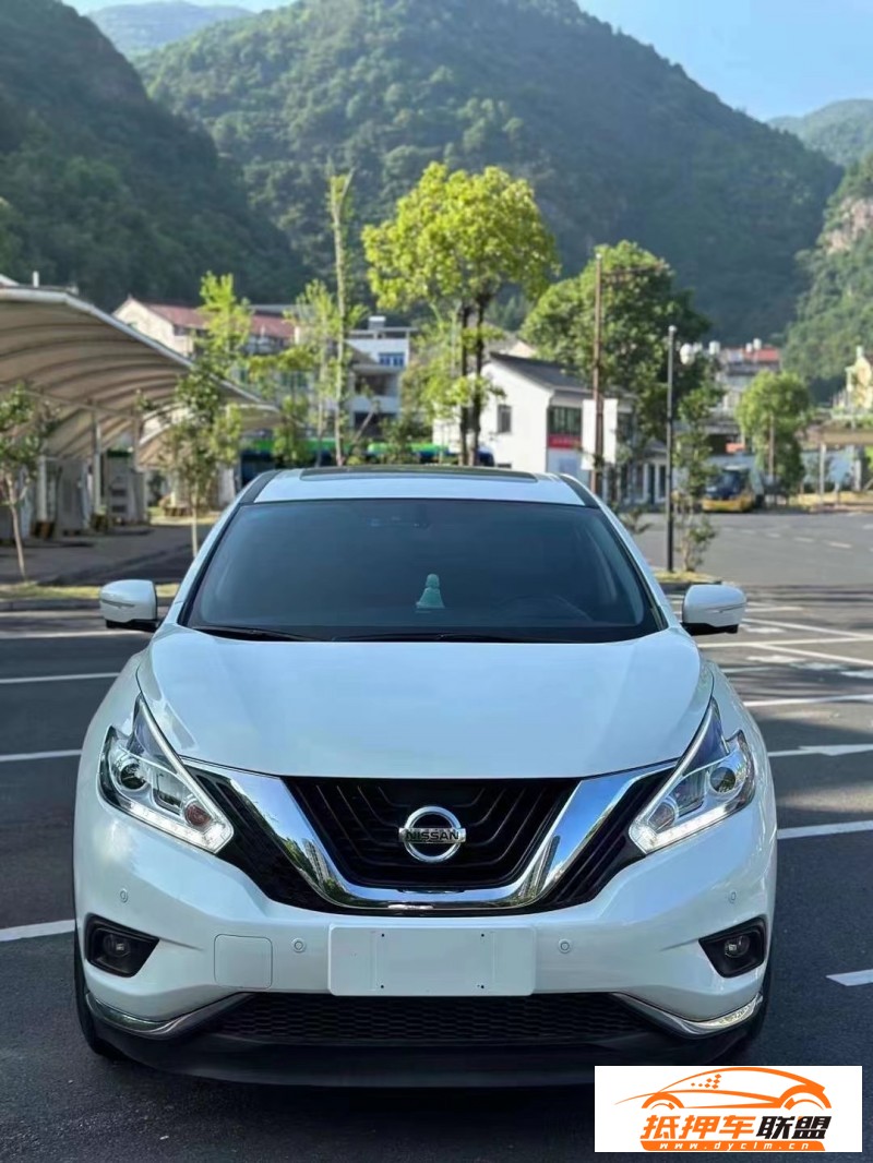  20年日產(chǎn)樓蘭轎車 