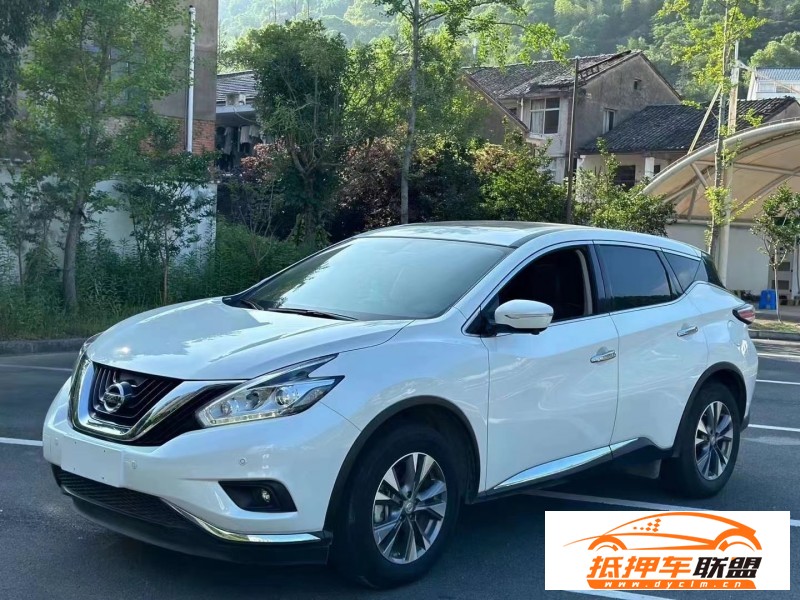  20年日產(chǎn)樓蘭轎車 