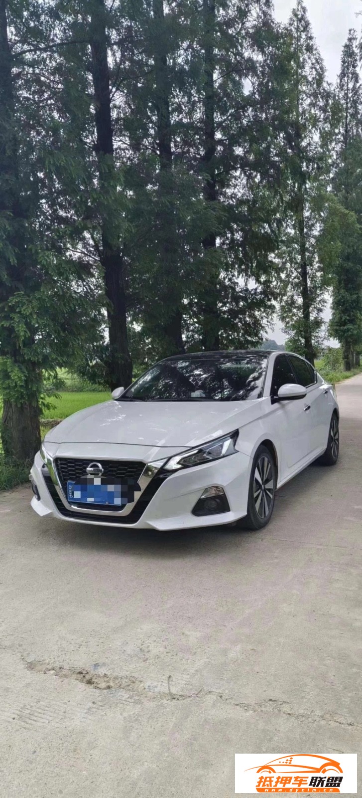  21年日產(chǎn)天籟轎車 