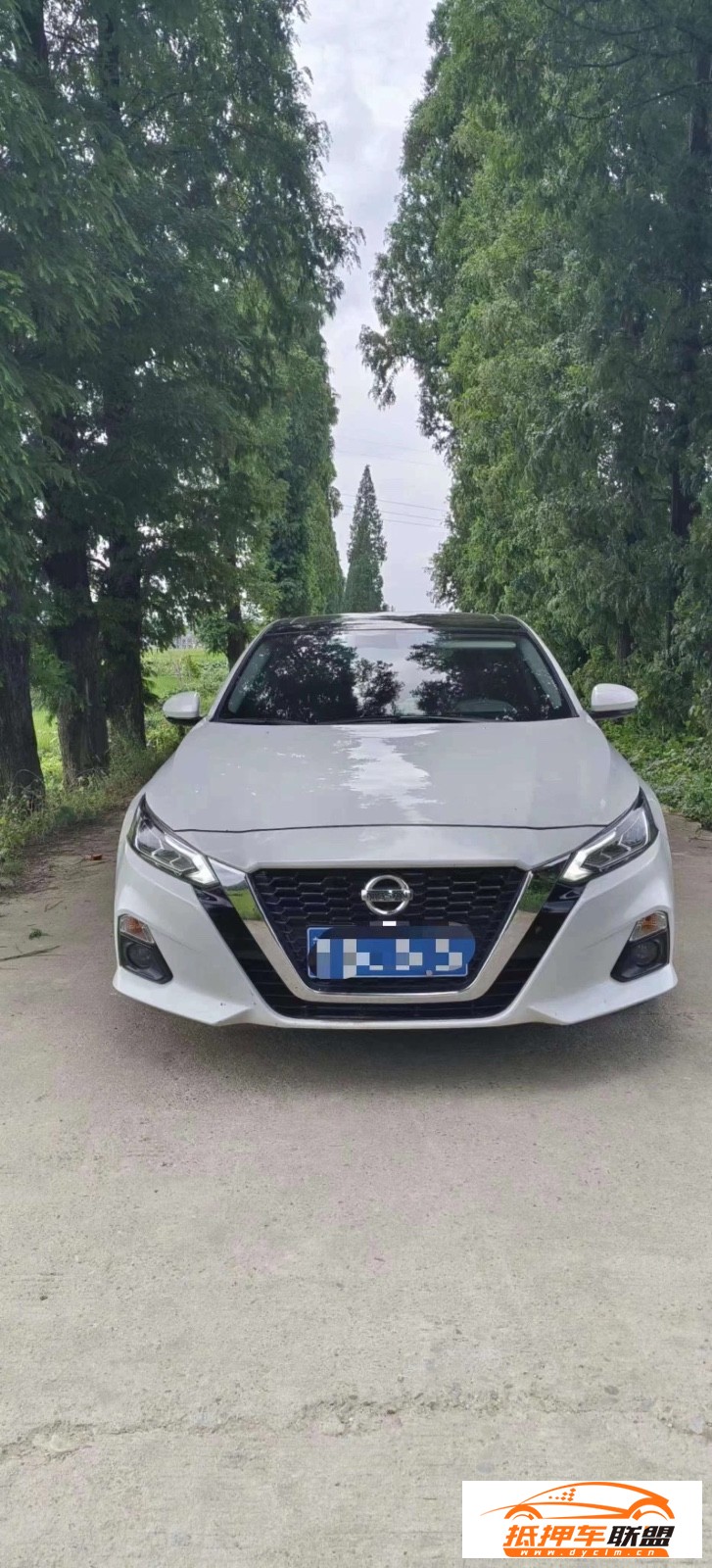  21年日產(chǎn)天籟轎車 