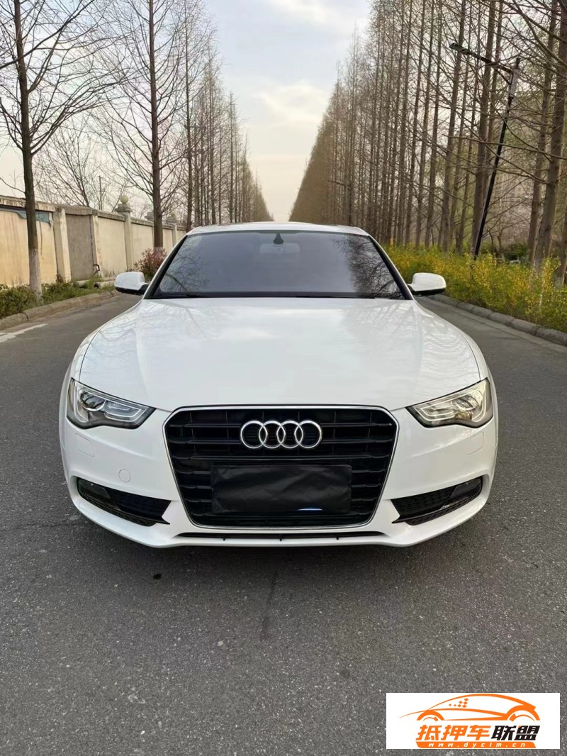  15年奧迪A5轎車 