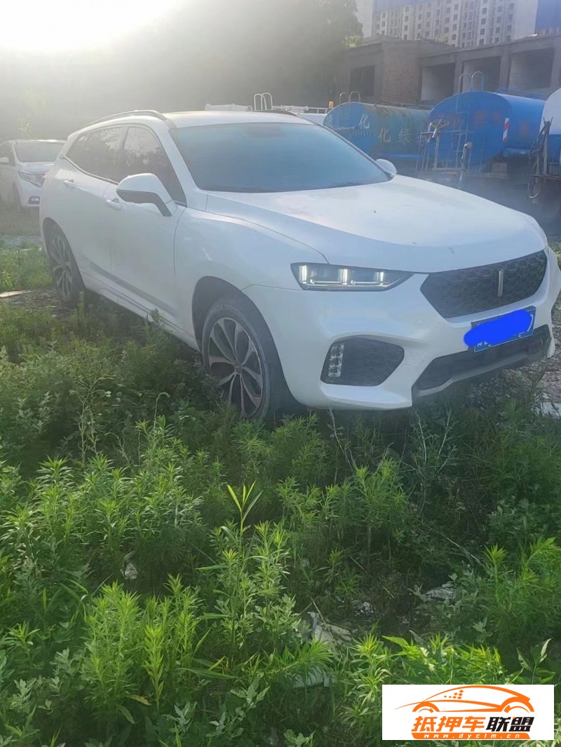  19年長(zhǎng)城VV7SUV 