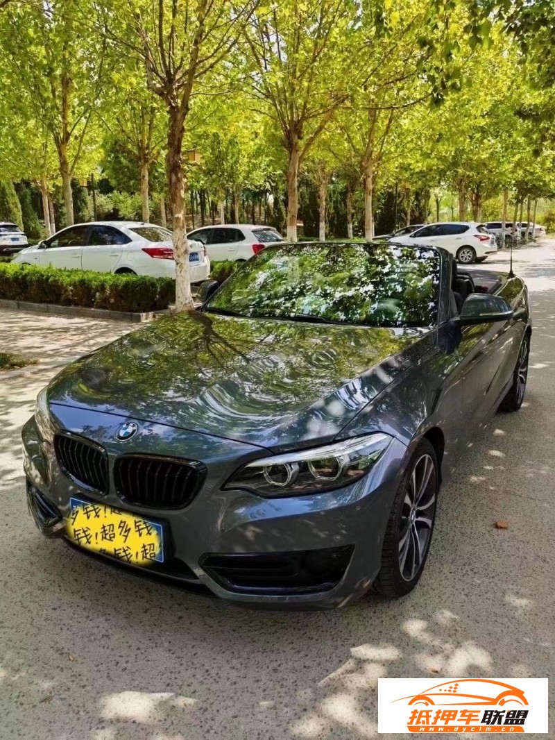  20年寶馬2系轎車 