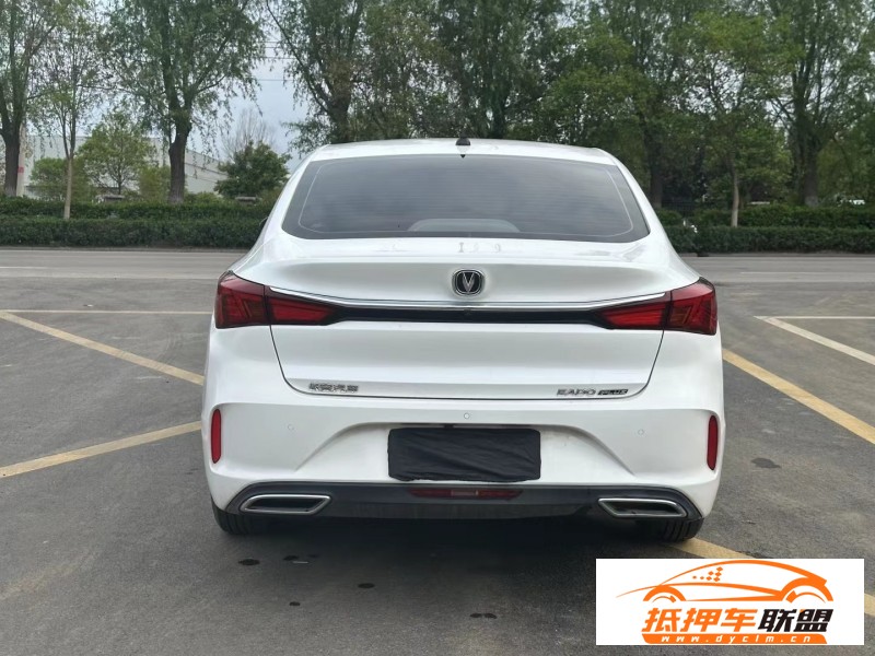  20年長(zhǎng)安逸動(dòng)轎車 