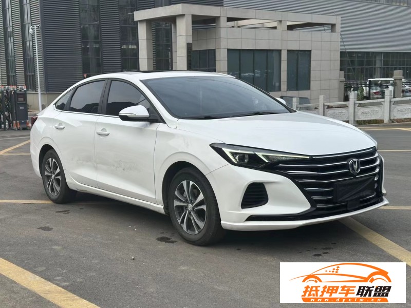  20年長(zhǎng)安逸動(dòng)轎車 