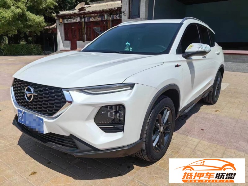  20年海馬8S轎車 