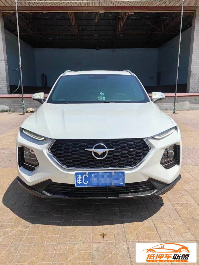  20年海馬8S轎車 
