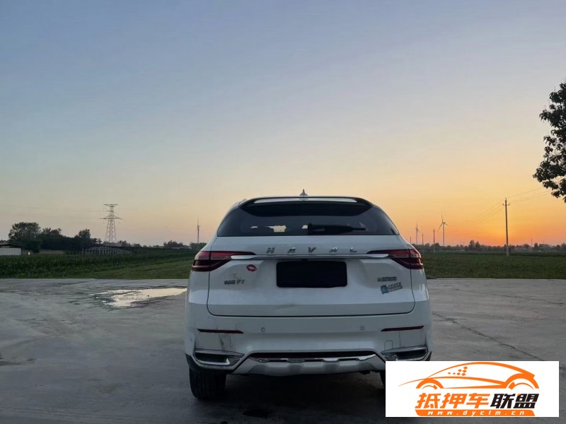 20年長(zhǎng)城哈弗F7轎車(chē) 