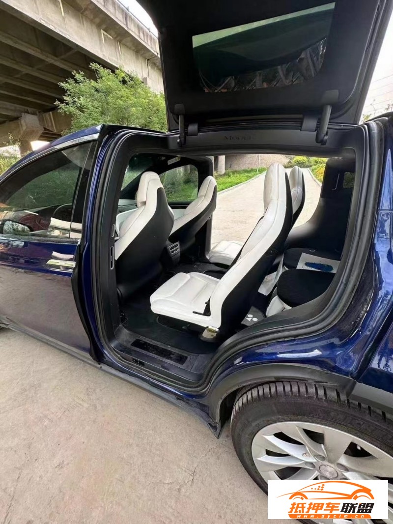  18年特斯拉MODEL X轎車 