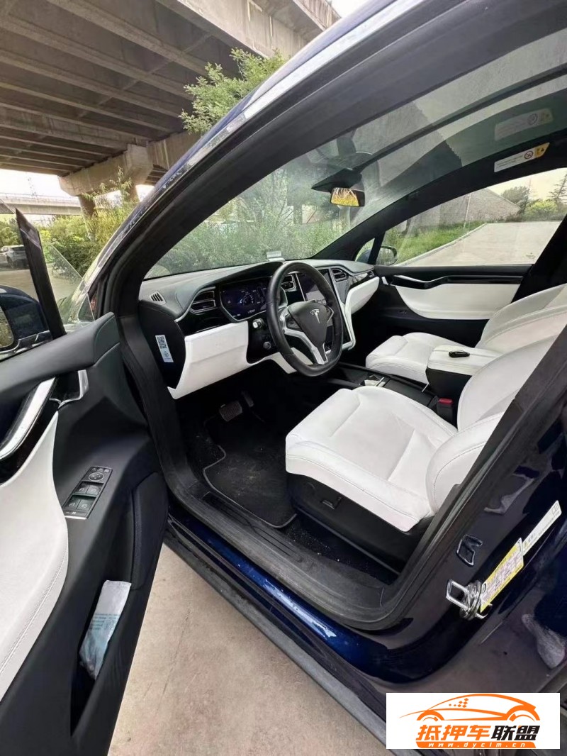 18年特斯拉MODEL X轎車 