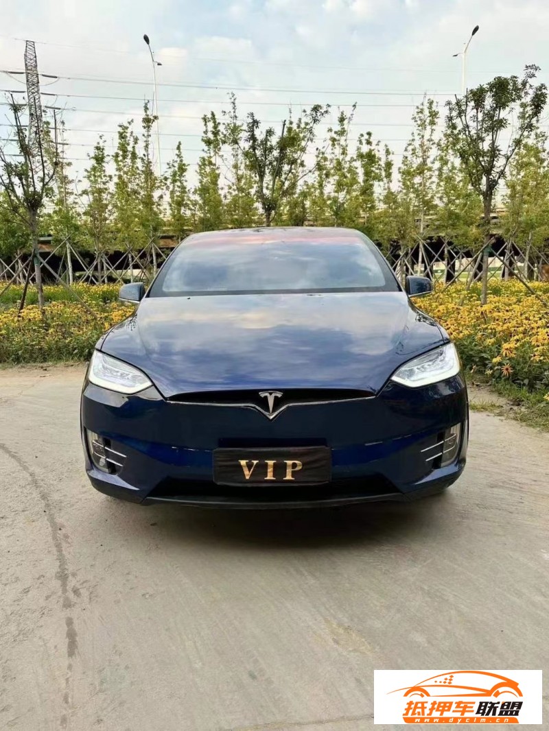  18年特斯拉MODEL X轎車 