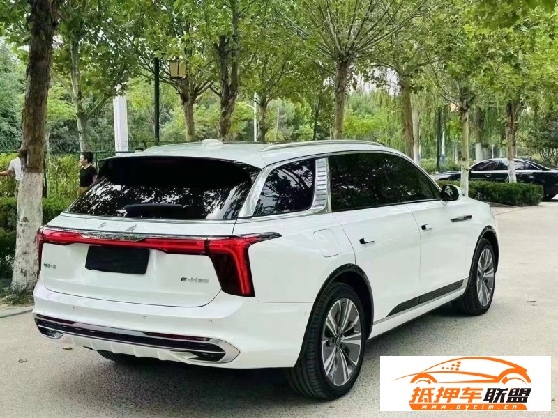  22年紅旗E-HS9轎車 