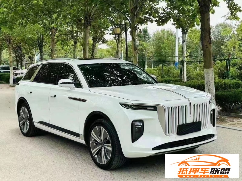  22年紅旗E-HS9轎車 