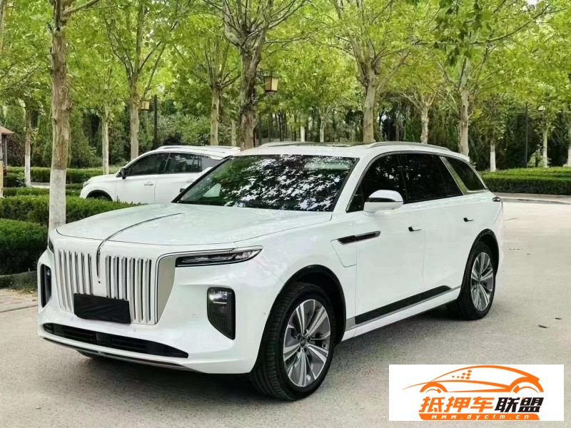  22年紅旗E-HS9轎車 
