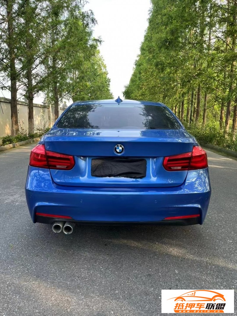  18年寶馬3系轎車 