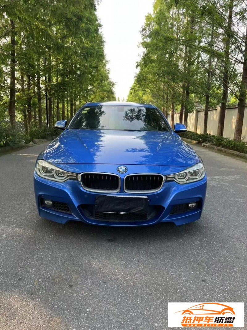  18年寶馬3系轎車 