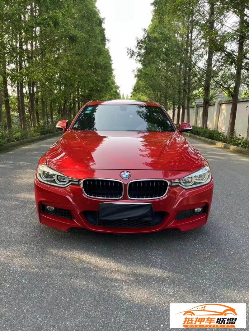  18年寶馬3系轎車 