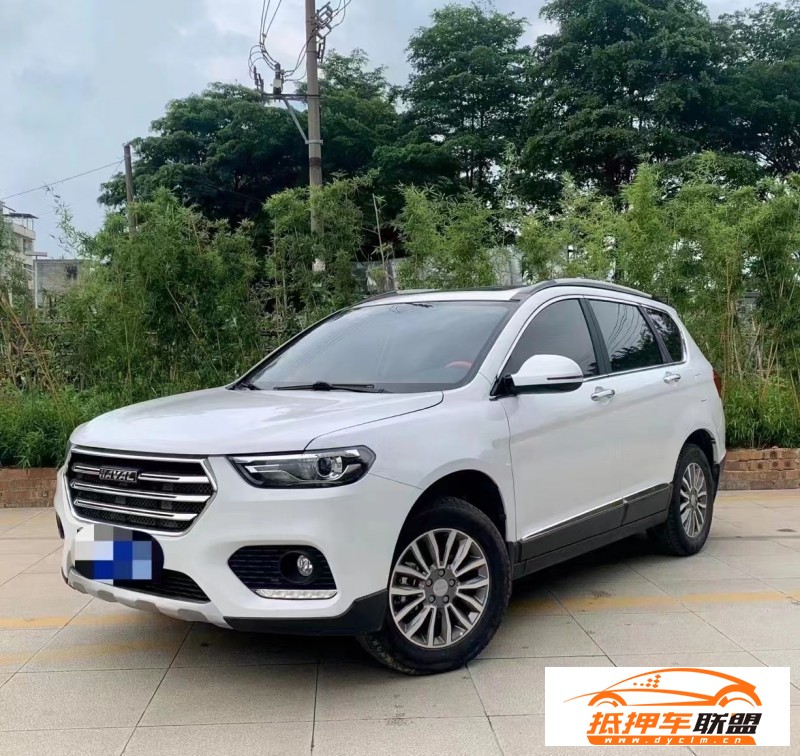  20年長(zhǎng)城哈弗H6SUV 