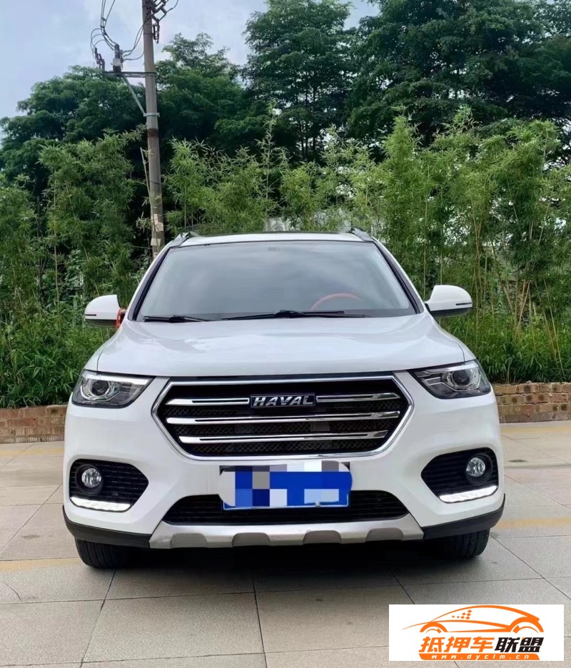  20年長(zhǎng)城哈弗H6SUV 
