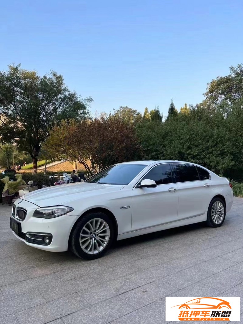  14年寶馬5系轎車 