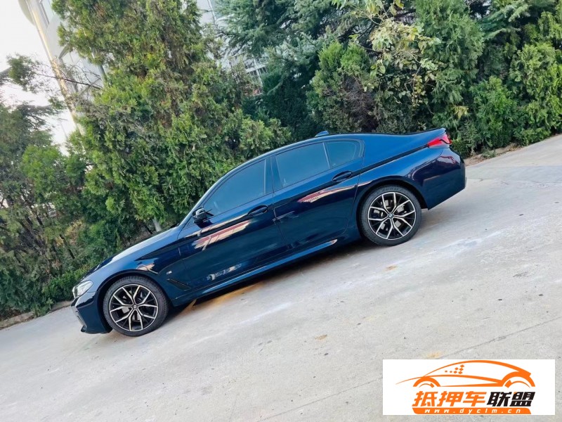  23年寶馬5系轎車(chē) 