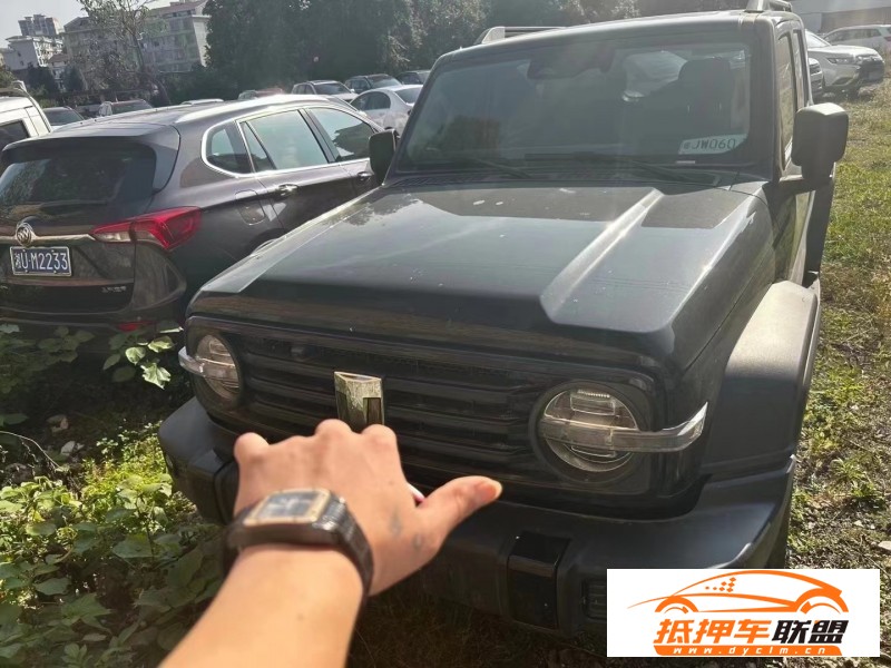  23年WEY坦克300轎車 